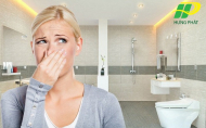 Top 9 cách làm thơm nhà vệ sinh không sử dụng hóa chất