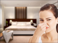  Khử mùi thức ăn trong phòng kín chỉ với vài mẹo đơn giản