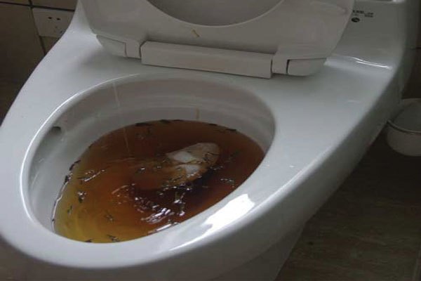 Hầm cầu đầy khiến nước kh&ocirc;ng thể r&uacute;t