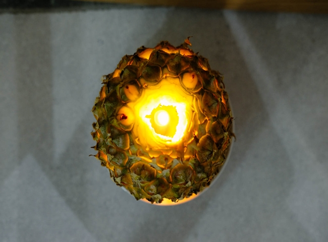 Khử m&ugrave;i h&ocirc;i nh&agrave; vệ sinh bằng tr&aacute;i kh&oacute;m