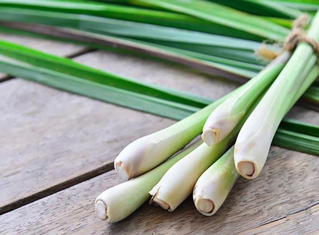 Khử m&ugrave;i h&ocirc;i nh&agrave; vệ sinh bằng củ sả